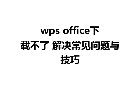 wps office下载不了 解决常见问题与技巧