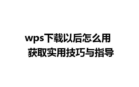 wps下载以后怎么用  获取实用技巧与指导