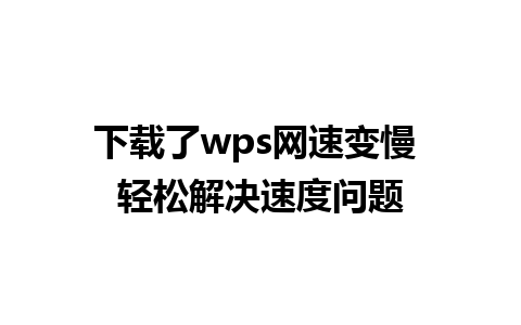 下载了wps网速变慢 轻松解决速度问题