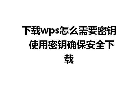 下载wps怎么需要密钥  使用密钥确保安全下载