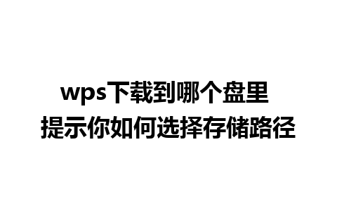  wps下载到哪个盘里 提示你如何选择存储路径