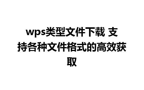 wps类型文件下载 支持各种文件格式的高效获取