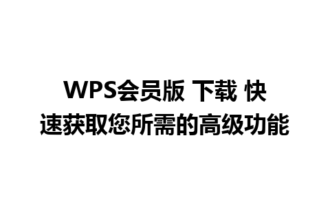 WPS会员版 下载 快速获取您所需的高级功能