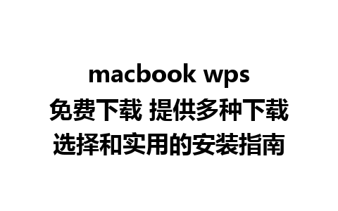 macbook wps免费下载 提供多种下载选择和实用的安装指南