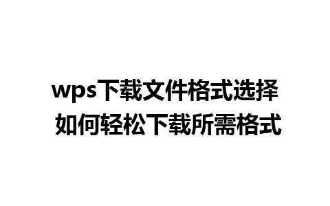 wps下载文件格式选择 如何轻松下载所需格式