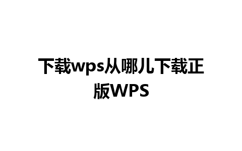 下载wps从哪儿下载正版WPS