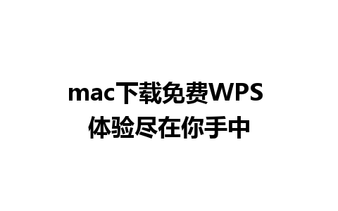 mac下载免费WPS 体验尽在你手中