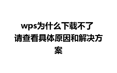 wps为什么下载不了 请查看具体原因和解决方案