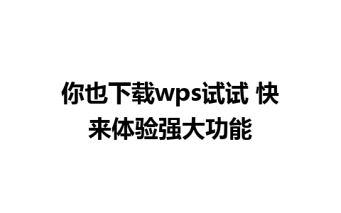 你也下载wps试试 快来体验强大功能