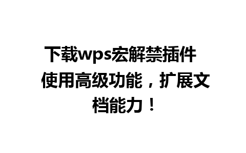 下载wps宏解禁插件  使用高级功能，扩展文档能力！