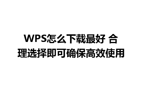 WPS怎么下载最好 合理选择即可确保高效使用