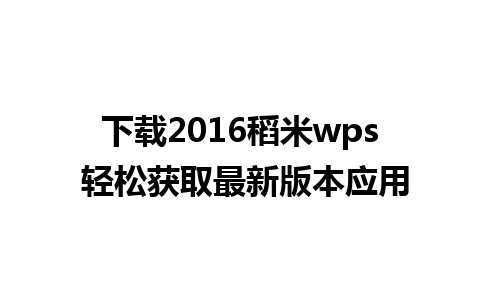 下载2016稻米wps 轻松获取最新版本应用