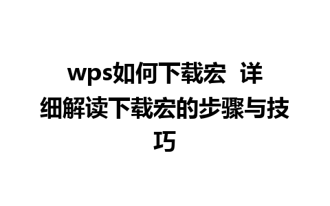 wps如何下载宏  详细解读下载宏的步骤与技巧