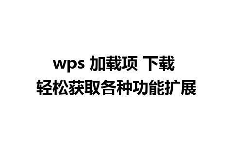 wps 加载项 下载 轻松获取各种功能扩展