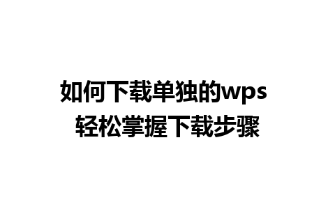 如何下载单独的wps 轻松掌握下载步骤