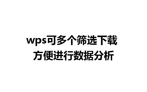 wps可多个筛选下载 方便进行数据分析