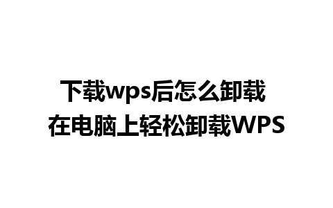 下载wps后怎么卸载 在电脑上轻松卸载WPS