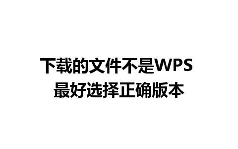 下载的文件不是WPS 最好选择正确版本