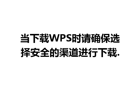 当下载WPS时请确保选择安全的渠道进行下载.