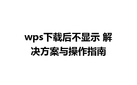 wps下载后不显示 解决方案与操作指南