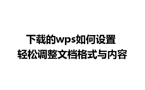 下载的wps如何设置 轻松调整文档格式与内容