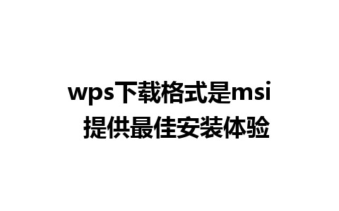 wps下载格式是msi  提供最佳安装体验