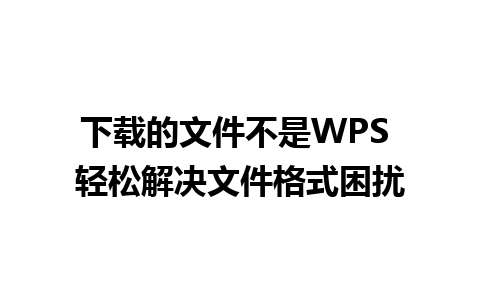 下载的文件不是WPS 轻松解决文件格式困扰