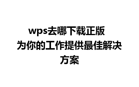 wps去哪下载正版  为你的工作提供最佳解决方案