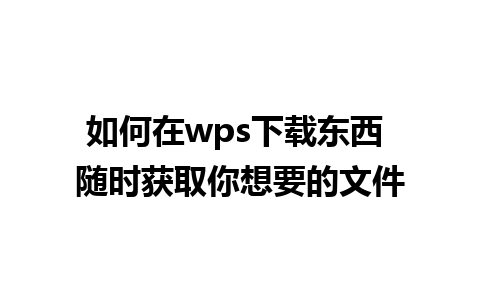 如何在wps下载东西 随时获取你想要的文件