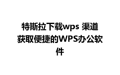 特斯拉下载wps 渠道获取便捷的WPS办公软件