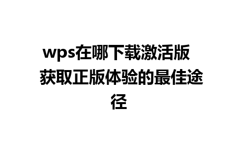 wps在哪下载激活版  获取正版体验的最佳途径