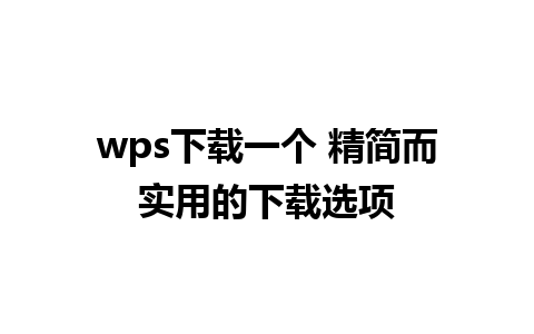 wps下载一个 精简而实用的下载选项