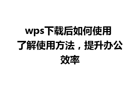 wps下载后如何使用 了解使用方法，提升办公效率