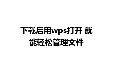 下载后用wps打开 就能轻松管理文件