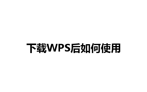 下载WPS后如何使用 