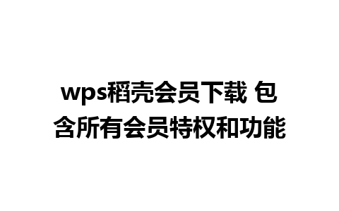 wps稻壳会员下载 包含所有会员特权和功能