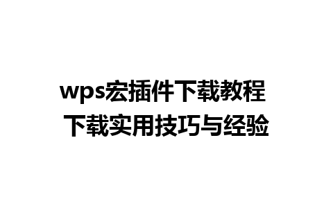 wps宏插件下载教程 下载实用技巧与经验