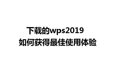 下载的wps2019  如何获得最佳使用体验