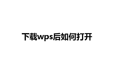 下载wps后如何打开