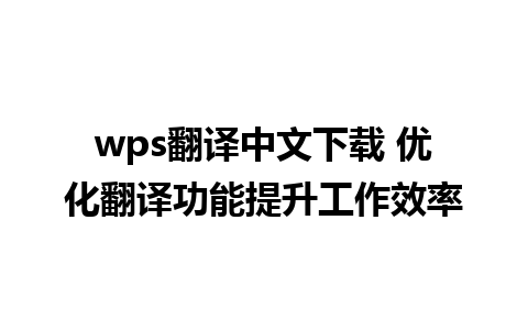 wps翻译中文下载 优化翻译功能提升工作效率