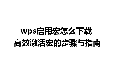 wps启用宏怎么下载 高效激活宏的步骤与指南