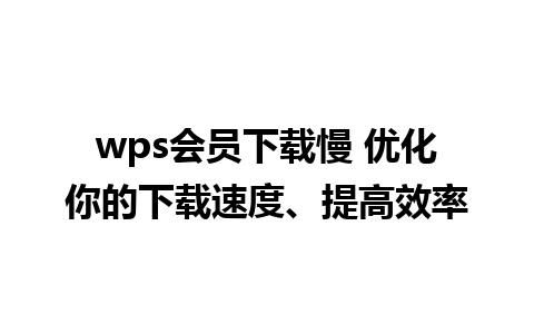 wps会员下载慢 优化你的下载速度、提高效率