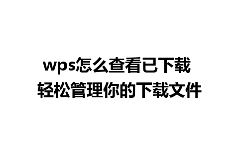 wps怎么查看已下载 轻松管理你的下载文件