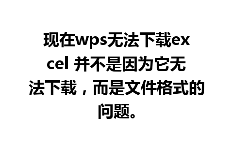 现在wps无法下载excel 并不是因为它无法下载，而是文件格式的问题。