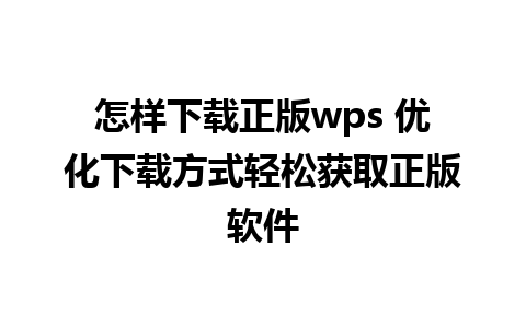 怎样下载正版wps 优化下载方式轻松获取正版软件