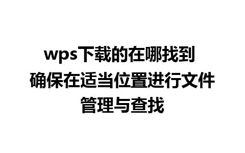 wps下载的在哪找到 确保在适当位置进行文件管理与查找