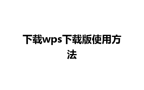 下载wps下载版使用方法