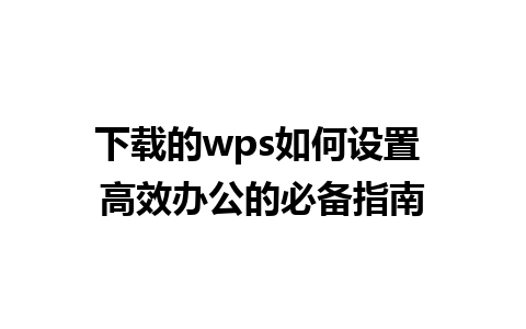 下载的wps如何设置 高效办公的必备指南