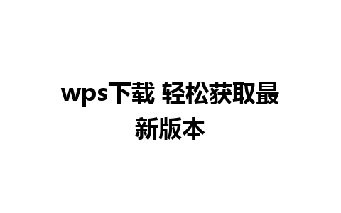 wps下载 轻松获取最新版本