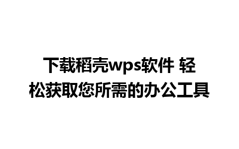 下载稻壳wps软件 轻松获取您所需的办公工具